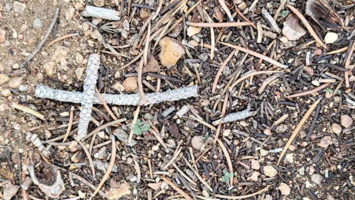 Cross made of branches