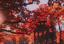 Christ is not only our Model HE is our Means