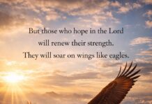 When your strength fades, God lifts you like the eagle—above the valleys, above the storms. You were made to rise.